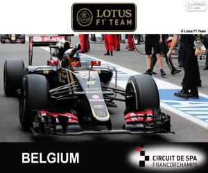 yapboz Romain Grosjean, 2015 Belçika Grand Prix
